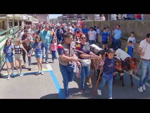 Bueyada infantil Tauro Tormes en Vitigudino