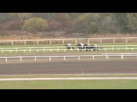 Longines World Fegentri Championship Race for Lady Riders - Vienna/Austria