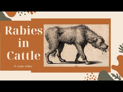 , title : 'Rabies in Cattle ll Case Video'