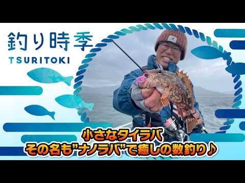 小さなタイラバ！その名も”ナノラバ”で癒しの数釣り（釣り時季/2021年12月12日放送）