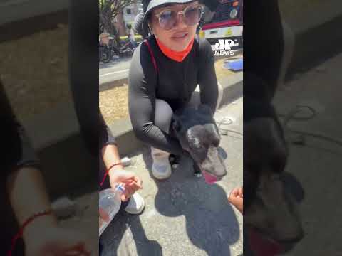 Story TERREMOTO