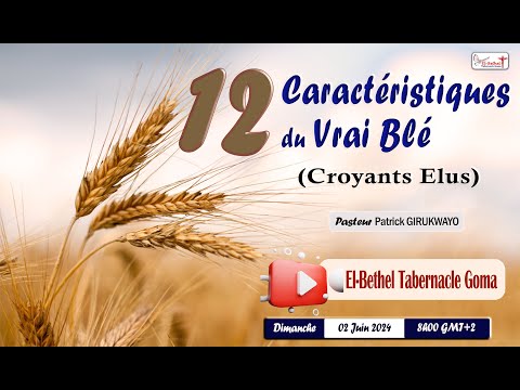 El-B/Tab Goma: Les 12 caractéristiques du vrai blé (croyants élus). DIM 02.06.2024 Past. Patrick G.