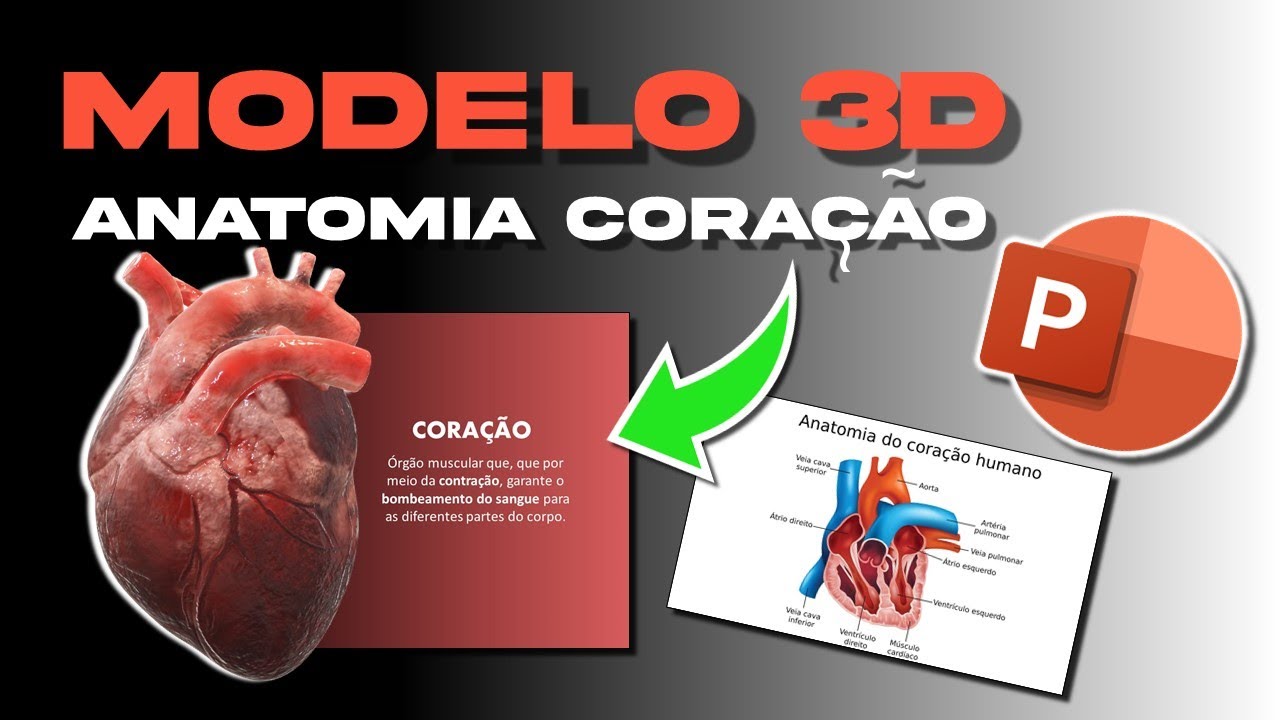 Como criar uma aula de anatomia do coração no PowerPoint