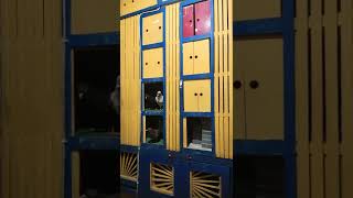 Download lagu penampakan baru bekupon merpati kamar 56 #merpatikentong#surabaya #merpati mp3