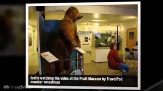 preview picture of video 'Pratt Museum - Homer, Alaska, United States'