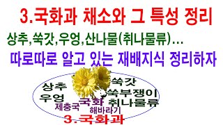 3.국화과 채소와 그 특성 정리. 상추, 쑥갓, 우엉, 취나물과 같은 산나물류...따로따로 알고 있는 지식 …