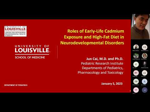 CIEHS and Pharm Tox Dept EHS Seminar with Jun Cai, M.D., Ph.D.