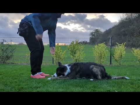 Obi 1 Kimbo - Platz hinten fest 2