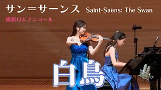 Download lagu [The Swan] Saint-Saëns (Photography allowed encore) mp3