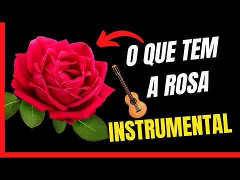 O Que Tem a Rosa (instrumental)