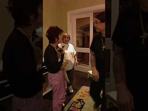 Ozzy Osbourne & the stray cat