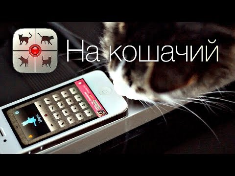 РАЗГОВАРИВАЮ С КОТОМ ЧЕРЕЗ КОШАЧИЙ РАЗГОВОРНИК - КЛАСС!!