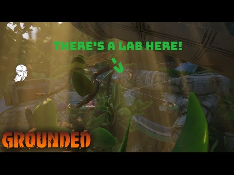 Going to the Hedge Lab | Grounded