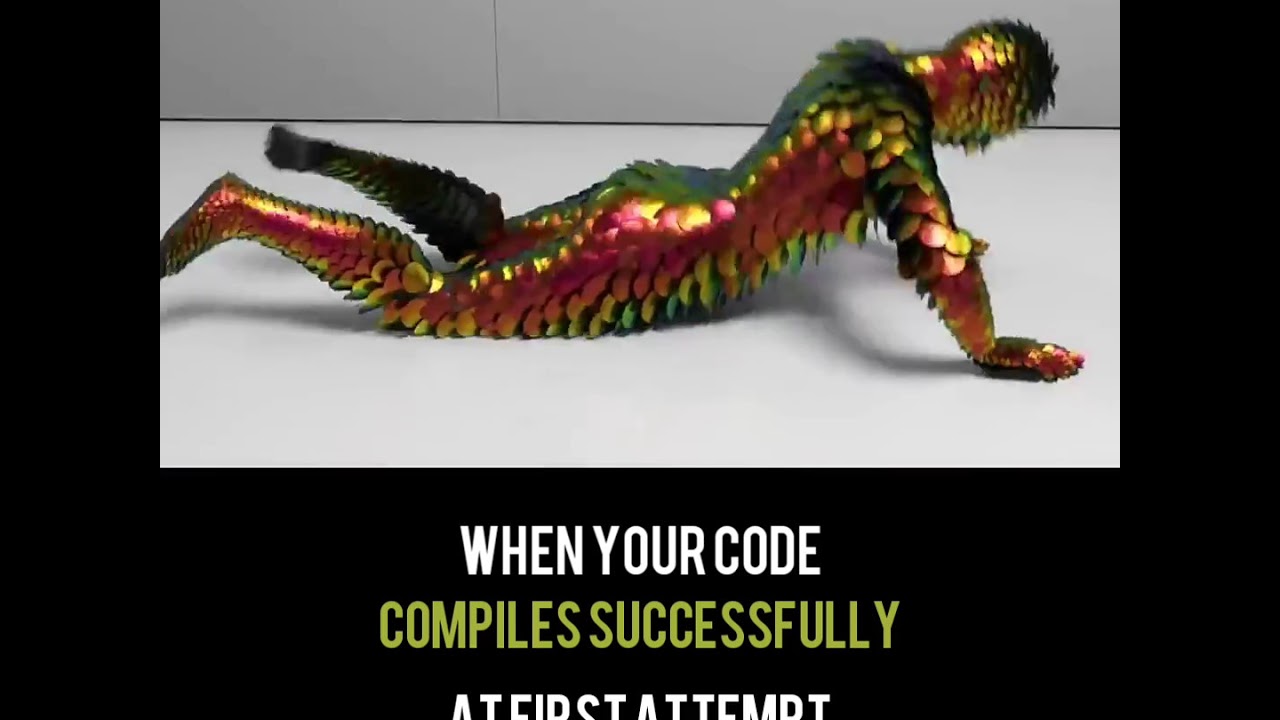When your code compiles successfully | programming humor