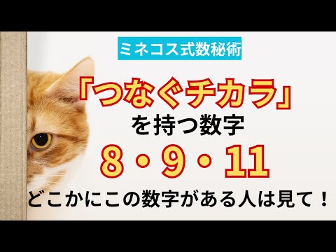 800 から 899 までの数字について詳しく解説