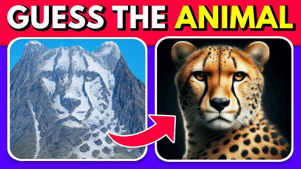 Can You Guess the Animals in These Mind-Bending Illusions?