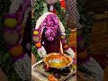 Laghu Rudrabhishek At Ujjain Pardeshwar Mahadev Temple Online Puja Ujjain Rudrabhishek