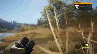 #11 theHunter:Call of the Wild