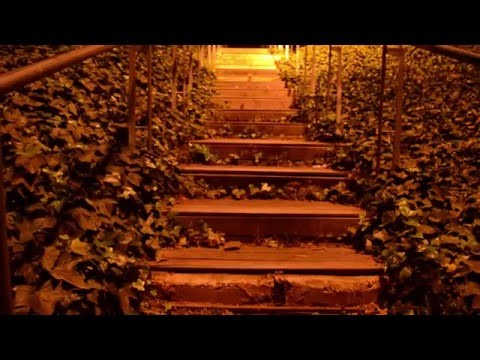 Querida conchita, hace tiempo