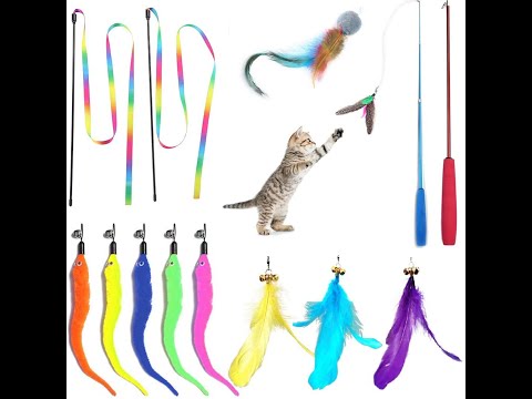 what's your cats favorite toys (14 in 1)?