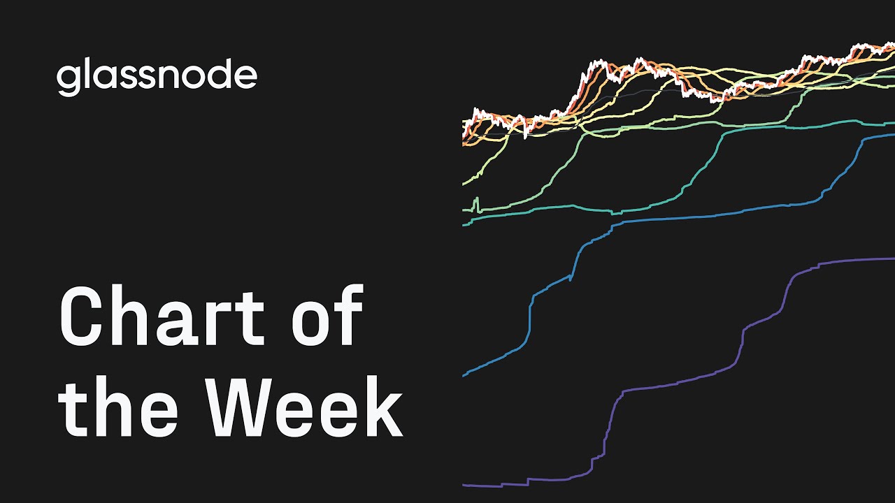 Chart of The Week: Realized Price by Age