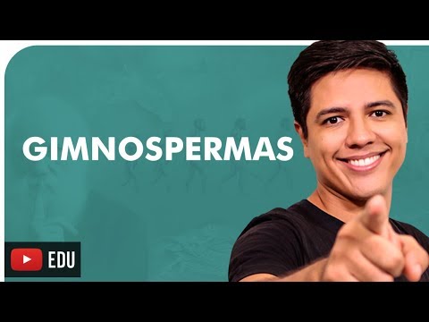 GYMNOSPERMS - BOTANY - Prof. Kennedy Ramos