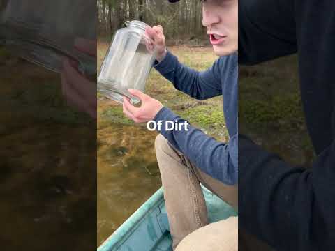 Make Your Own Ecosphere