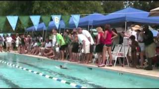 2010 Dolphins Video Blender