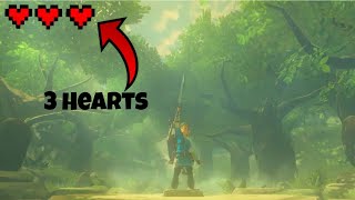 How to get the Master Sword without having 13 Hearts! (tutorial) | Zelda breath of the wild