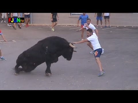 Bika (szarvasmarha). A bikák valóban utálják a vöröset?