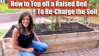 How to Top off Raised Bed Soil to Re-Charge it for Your Spring Vegetable Garden in 5 Easy Steps