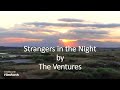 The Ventures - Strangers in the Night
