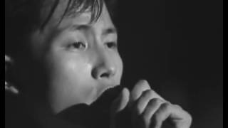 BARBEE BOYS a nine days' wonder