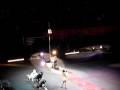 RINGLING CLOWN DOG ACT