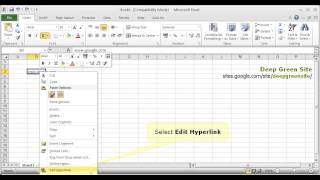 MS Excel 2010 / How to edit hyperlink