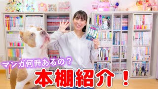 本棚紹介！半年で漫画何冊増えた？本棚がいっぱい💦【本棚紹介】