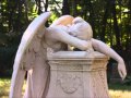 Angels Are Weeping (Nox Arcana & Michelle ...