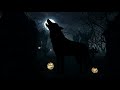 Suara Malam Mencekam Suara Srigala Gagak Burung Hantu Jangkrik Serangga Malam