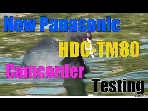 New Panasonic HDC-TM80 Camcorder Video Test