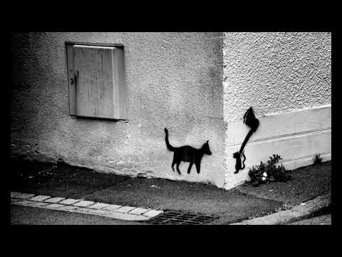 Babarian X Yunes - Sangre fría