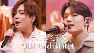 Download lagu [Collaboration Cover] ENHYPEN JAY & Yuuri - Always(原曲: ENHYPEN) mp3