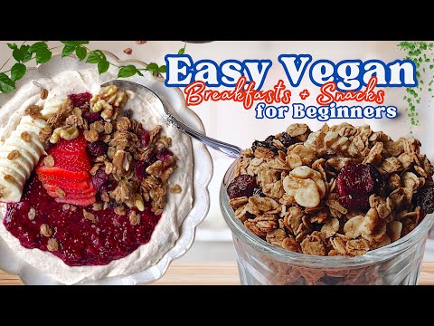 3 Easy Vegan Recipes for Beginners | Breakfasts and Snacks