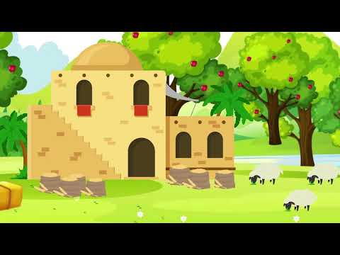 The Rich Fool    |      Luke 12:13-21