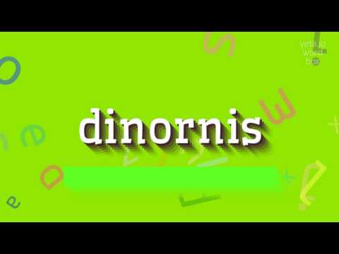 DINORNIS - HOW TO SAY DINORNIS? #dinornis