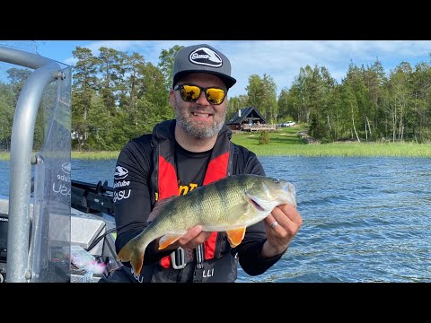 ISOJA ahvenia jigillä Ahvenanmaalla - Kilon raja rikki? - Kalastusluvat ja -tekniikat Ahvenanmaalla