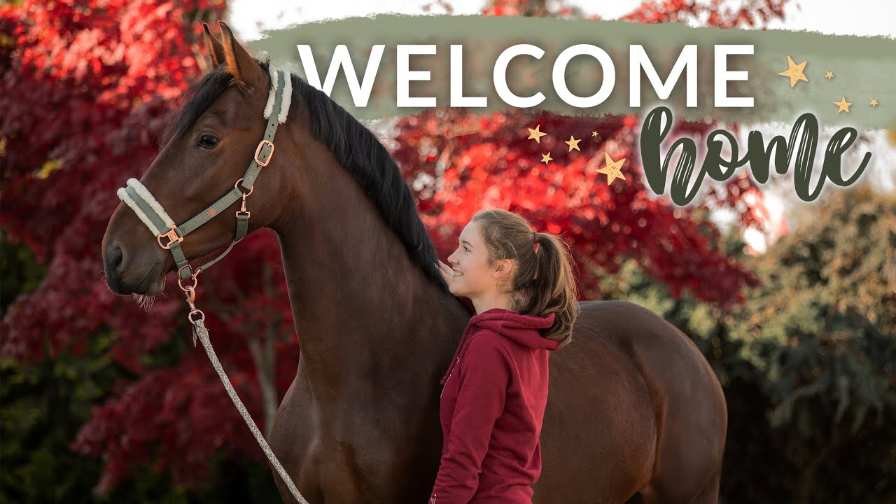ZWERG KOMMT NACH HAUSE 🤎 Wir holen mein neues Pferd ab | VLOG 67 | Pilsali