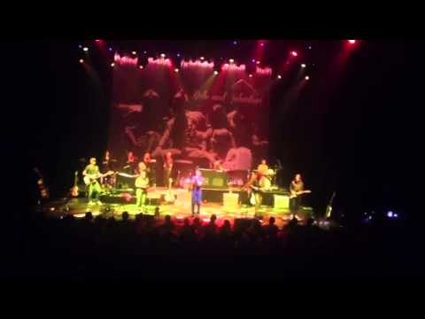 Belle and Sebastian ACLlive 2013