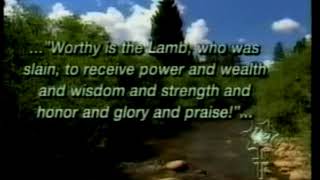 "I Hear Angels" - Forever Grateful