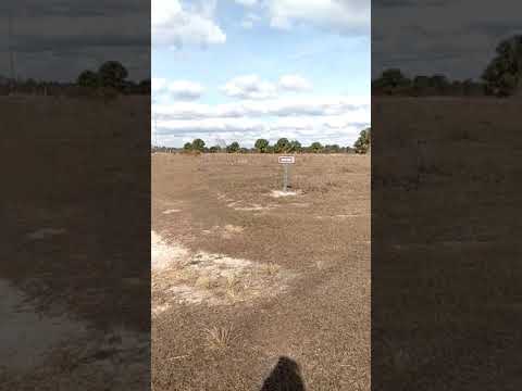 Duceman Sunday trail ride on the TRX250X SE