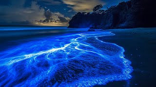 Deep Ocean Sounds to Recharge and Reset | Let the Waves Wash Away Anxiety and Bring Calm Sleep